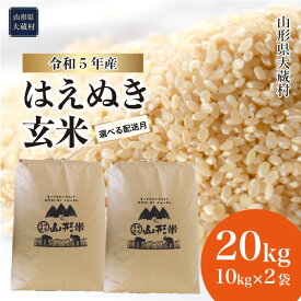 【ふるさと納税】＜令和5年産＞ 大蔵村 はえぬき ＜玄米＞ 20kg （10kg×2袋）