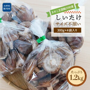 yӂ邳Ɣ[Łẑ쑺Y mn TCYs Ղ1.2kgi300g×4ܓj