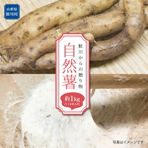 yӂ邳Ɣ[Łz 삩̑蕨@R@1kg