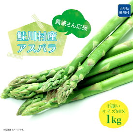 【ふるさと納税】 農家さん応援！！ 鮭川村産 アスパラガス 不揃いサイズ MIX 1kg