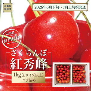 �y�ӂ邳�Ɣ[�Łz�y�ߘa8�N�Y ������t�z ���쑺�Y�������� ���g�G�� L�T�C�Y�ȏ�o���l�� 1kg�i500g×2P�j