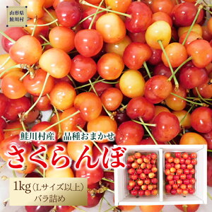 �y�ӂ邳�Ɣ[�Łz�y�ߘa8�N�Y ������t�z ���쑺�Y�������� ���i�킨�܂����� L�T�C�Y�ȏ�o���l�� 1kg�i500g×2P�j