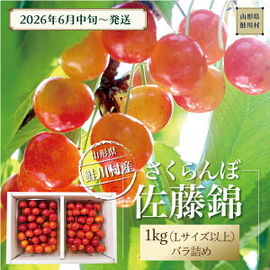 �y�ӂ邳�Ɣ[�Łz�y�ߘa8�N�Y ������t�z ���쑺�Y�������� �������с� L�T�C�Y�ȏ�o���l�� 1kg�i500g×2P�j