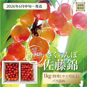 �y�ӂ邳�Ɣ[�Łz�y�ߘa8�N�Y ������t�z ���쑺�Y�������� �������с� ���GL�T�C�Y�ȏ�o���l�� 1kg�i500g×2P�j