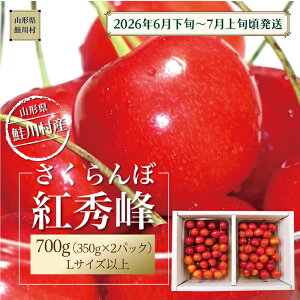 �y�ӂ邳�Ɣ[�Łz�y�ߘa8�N�Y ������t�z ���쑺�Y�������� ���g�G�� L�T�C�Y�ȏ�o���l�� 700g�i350g×2P�j