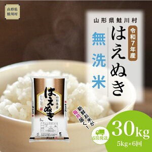 yӂ邳Ɣ[Łzߘa7NYā 쑺 ͂ʂ yāz30kg i5kg×6jzIׂ܂