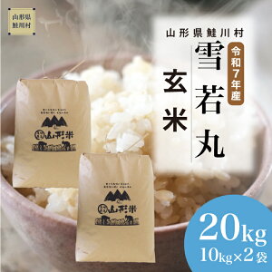 yӂ邳Ɣ[Łzߘa7NYā 쑺  yāz 20kg i10kg×2܁jzIׂ܂