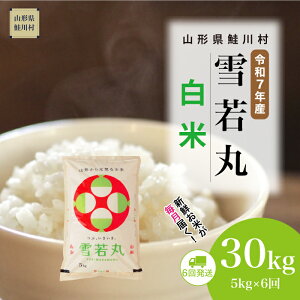 yӂ邳Ɣ[Łzߘa7NYā 쑺  yāz  30kg i5kg×1Ԋu6񂨓͂jzIׂ܂