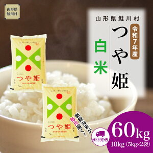 yӂ邳Ɣ[Łzߘa7NYā 쑺 ʍ͔| P yāz  60kg i10kg×1Ԋu6񂨓͂j