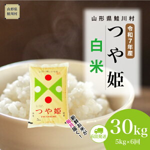 yӂ邳Ɣ[Łzߘa7NYā 쑺 ʍ͔| P yāz  30kg i5kg×1Ԋu6񂨓͂j