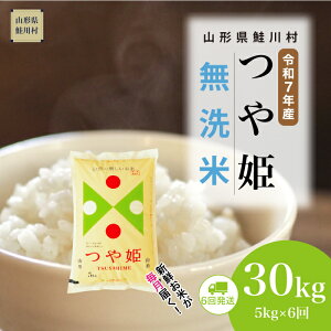 yӂ邳Ɣ[Łzߘa7NYā 쑺 ʍ͔| P yāz  30kg i5kg×1Ԋu6񂨓͂j