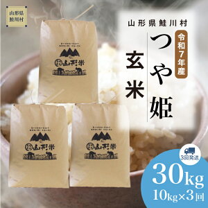 yӂ邳Ɣ[Łzߘa7NYā 쑺 ʍ͔| P yāz 30kg i10kg×3񔭑jzIׂ܂