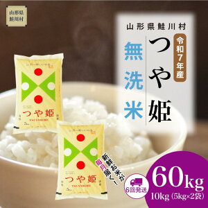 yӂ邳Ɣ[Łzߘa7NYā 쑺 ʍ͔| P yāz  60kg i10kg×1Ԋu6񂨓͂j