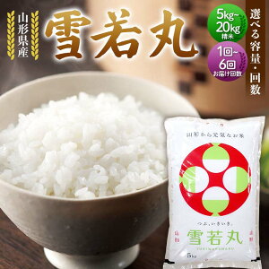 �y�ӂ邳�Ɣ[�Łz �s�e�ʁE�񐔁E���������I�ׂ�t �ߘa7�N�x �R�`���Y ���� 5kg�^10kg�^20kg ���� �䂫�킩�܂� ���� ���� �V�� ���� ���͂� �u�����h�� ������ 2025�N�Y �ߘa7�N�x�Y �ƒ�p 