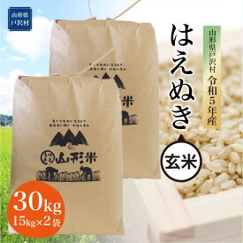 【ふるさと納税】令和5年産 山形県戸沢村 厳選 はえぬき 【玄米】 30kg（15kg×2袋） ＜配送時期指定可＞