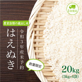 楽天市場 ふるさと納税 米 kg はえぬきの通販