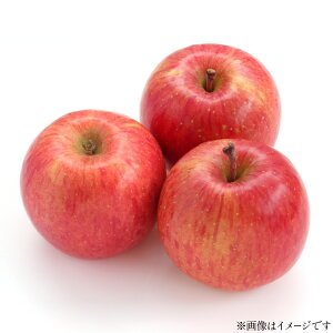 yӂ邳Ɣ[Łz yԌ蔭z  Y Tӂ  12`18 v 5kg [JAR` R`  tk06ays870040] ʕ  t[c ь S ӂ ӂ Yn