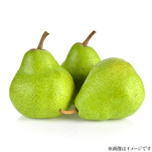 yӂ邳Ɣ[Łz yԌ蔭z EtX Y EtX 7`9  3kg [JAR` R`  tk06ays870042]  m ʕ  t[c 3L