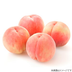 yӂ邳Ɣ[Łz yԌ蔭z Y  6`10 3kg [JAR` R`  tk06ays870044]    t[c  ʕ