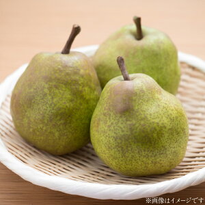 yӂ邳Ɣ[Łz yԌ蔭z EtX R` ZNVi EtX 9 3kg [tk06ays910000 R`  Om] ʕ  t[c mȂ m tX