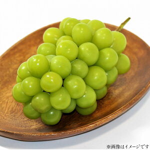 yӂ邳Ɣ[Łz yԌ蔭z VC}XJbg 3[ 2kg [tk06ayt350004 R`  ǉʎ] Ԃǂ uhE  }XJbg 嗱 Ȃ   ʕ t[c Hʎ Y