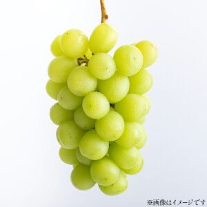 yӂ邳Ɣ[Łz yԌ蔭z VC}XJbg Iׂe 650g`3kg [R`  킽ʎ] Ԃǂ uhE  t[c ʕ  Â