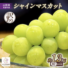 【ふるさと納税】 【期間限定発送】 訳あり シャインマスカット 箱 満杯詰め 粒 約1.3kg [相良果樹園 山形県 高畠町 tk06ayt350002] 種無し ブドウ 葡萄 産地直送 農家直送 果物 フルーツ くだもの