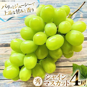 yӂ邳Ɣ[Łz yԌ蔭z VC}XJbg G 4[  2.4kg [O̗ R`  tk06ays960003] t[c ʕ  Ԃǂ uhE  2.4L Â