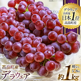 【ふるさと納税】 【期間限定発送】 ぶどう デラウェア 5〜8房 約 1kg [いわた果樹園 山形県 高畠町 tk06ayt400003] 種無し ブドウ 葡萄 くだもの 果物 フルーツ 産地直送 農家直送