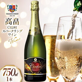 【ふるさと納税】 スパークリングワイン 高畠シードル 750ml 1本 [tk06ays730014 山形県 高畠町 高畠ワイナリー] 高畠ワイナリー ワイン 甘口 りんご ふじ フルーツワイン 酒