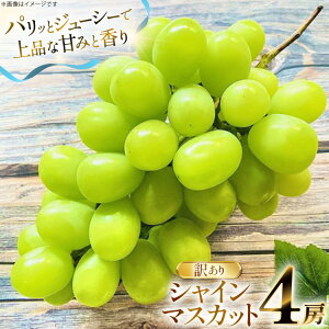 yӂ邳Ɣ[Łz yԌ蔭z VC}XJbg 󂠂 4[ 2.2kg [O̗ R`  tk06ays960001] t[c ʕ  Ԃǂ uhE  2.2L Â