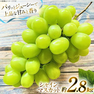 yӂ邳Ɣ[Łz yԌ蔭z VC}XJbg  2.8kg [O̗ R`  tk06ays960005] t[c ʕ  Ԃǂ uhE  2.8L Â