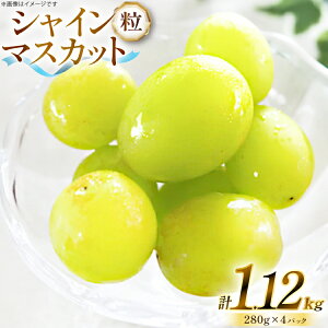 yӂ邳Ɣ[Łz yԌ蔭z VC}XJbg  280g 4p 1.12kg ̂ [O̗ R`  tk06ays960007] t[c ʕ  Ԃǂ uhE  嗱 Â