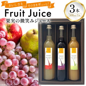 yӂ邳Ɣ[Łz ʎ̔΂ W[X 500ml v3{ Zbg (KJ-3) [͂ʎ R`  tk06ays650016] Ԃǂ EtX  t[c ʏ` W[X lߍ킹  ь  