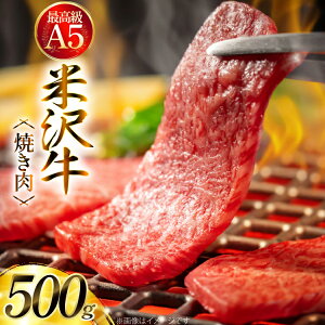 yӂ邳Ɣ[Łz  đ A5  ē p 500g [tk06ays780001 R`  ̍։@] r[t   ē Ă ɂ  đ BBQ o[xL[ AEghA
