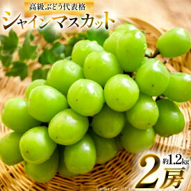 【ふるさと納税】 【期間限定発送】 シャインマスカット 2房 約1.2kg [安達敏幸 山形県 高畠町 tk06ays830004] 箱詰め フルーツ 果物 くだもの ぶどう ブドウ 葡萄 1.2キロ 甘い