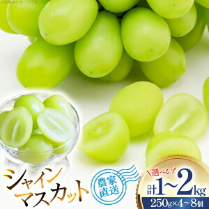 yӂ邳Ɣ[Łz yԌ蔭z VC}XJbg  WG{bNX 2kg or 1kg [R`  BqK] lߍ킹  t[c ʕ  Ԃǂ uhE  Â