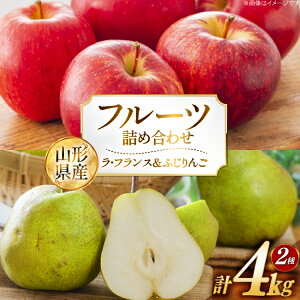 yӂ邳Ɣ[Łz yԌ蔭z t[c lߍ킹 uY EtX 2kg G ӂ 2kg G v 4kg [JAR` R`  tk06ays870041] ʕ  t[c ь 