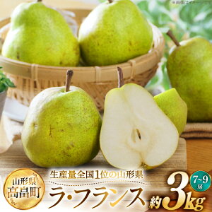 yӂ邳Ɣ[Łz yԌ蔭z EtX Y EtX 7`9  3kg [JAR` R`  tk06ays870042]  m ʕ  t[c 3L
