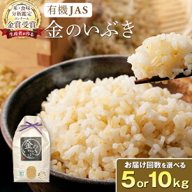 【ふるさと納税】 【定期便 も選べる】令和7年産 米 金のいぶき 玄米 コンクール金賞受賞生産者 5kg 10kg 3回 定期 | | ふるさと納税 米 玄米 精米 高級 お米 コメ こめ kome ご飯 ごはん 米 ブランド米 山形 高畠町 2024 2025 ふるさと 人気 送料無料 F21B-140var