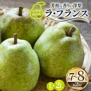 yӂ邳Ɣ[Łz yԌ蔭z EtX Y EtX 7`8 2kg ϔ [Om R`  tk06ays910002] ʕ  t[c mȂ m tX