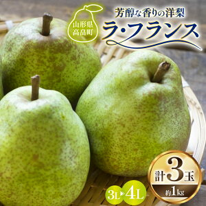 yӂ邳Ɣ[Łz yԌ蔭z EtX R` 3L`4L 3 1kg [Om R`  tk06ays910004] ʕ  t[c mȂ m tX