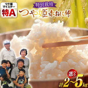 yӂ邳Ɣ[Łz  ߘa7NY ʍ͔| ԂɈ P 2kg 5kg [tk06ays950000 R`  q_]     uh ͂   R kome