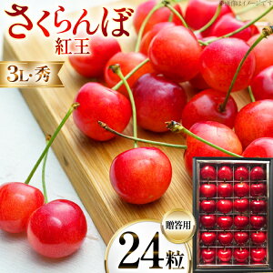 yӂ邳Ɣ[Łz yԌ蔭z TN{ 24 G 3L g [q_ R`  tk06ays950004]  ыl  ʕ  t[c TN{ ׂɂ ϔ