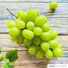 【ふるさと納税】 【期間限定発送】 シャインマスカット 訳あり 4房 2.2kg [もん前の里 山形県 高畠町 tk06ays960001] フルーツ 果物 くだもの ぶどう ブドウ 葡萄 2.2キロ 甘い