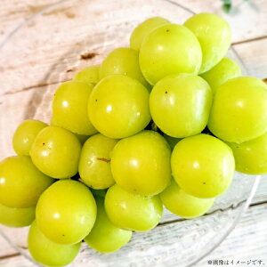 yӂ邳Ɣ[Łz yԌ蔭z VC}XJbg  1.4kg [O̗ R`  tk06ays960004] t[c ʕ  Ԃǂ uhE  1.4L Â