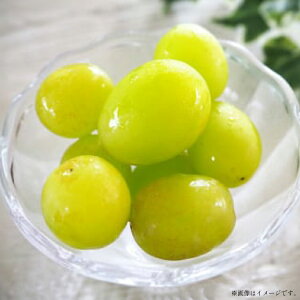 yӂ邳Ɣ[Łz yԌ蔭z VC}XJbg  280g 4p 1.12kg ̂ [O̗ R`  tk06ays960007] t[c ʕ  Ԃǂ uhE  嗱 Â