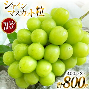 yӂ邳Ɣ[Łz yԌ蔭z VC}XJbg 󂠂  lߍ킹 400g 2p 800g [tk06ays990007 R`  B]  t[c ʕ  Ԃǂ uhE  Â