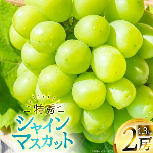 yӂ邳Ɣ[Łz yԌ蔭z VC}XJbg G 2[ 1.3kg [la R`  tk06ayt020005] Ԃǂ uhE  }XJbg 嗱 Ȃ ʕ t[c 