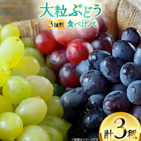 【ふるさと納税】 【期間限定発送】 ぶどう 3種 食べ比べ セット ( シャインマスカット ピオーネ クイーンニーナ マイハート クイーンセブン ) [tk06ayt020007 山形県 高畠町 四釜昌和] ぶどう ブドウ 葡萄 マスカット 大粒 種なし 果物 フルーツ くだもの